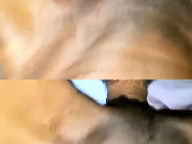 Interracial African Couple's Homemade Tape