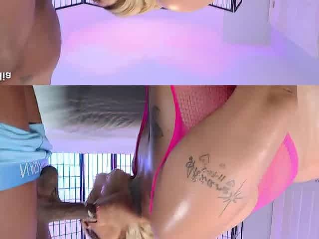 Creampie Queen Sho N Tell vs D ruff