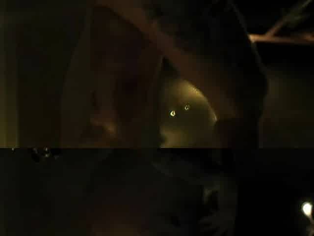 Darksome Night of The Aperture TEASER - full movie obtainable on ManyVids: embermae