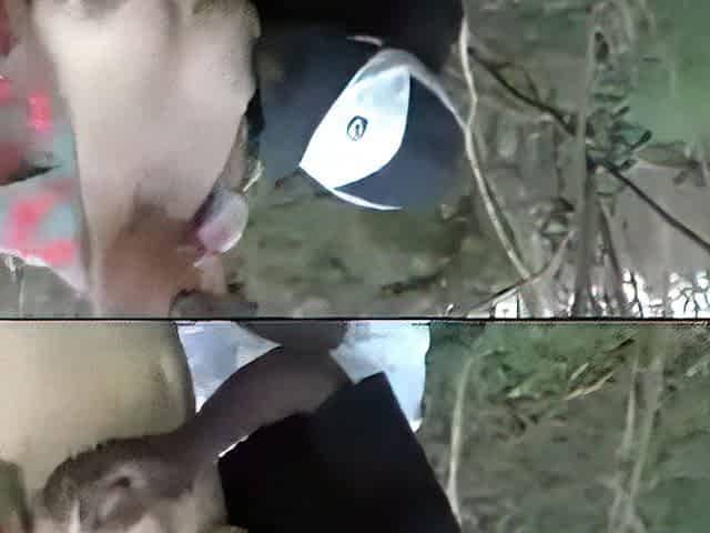 BBC In The Forest