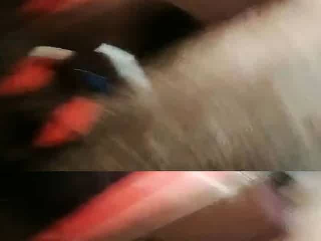 Amateur blonde girlfriend homemade blowjob and handjob
