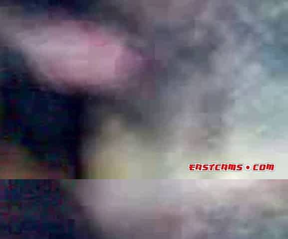 Amateur Asian Scandal - RANHS Adult Video