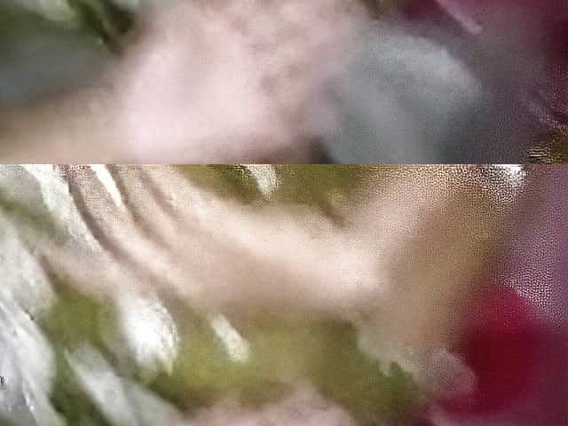 Amar