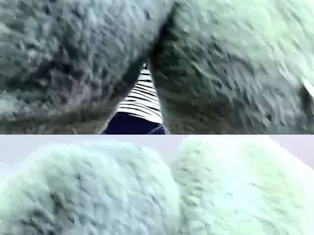 Dominant Princess Smelly Bed Socks