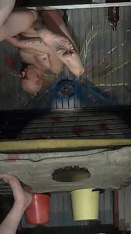 double penetration with toys