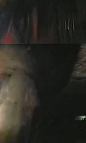 Beautiful Girl with Big Tits Gets Fucked Doggy by Huge Hard Cock