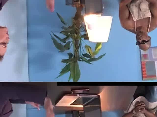 Cougar fucks a huge black monster cock