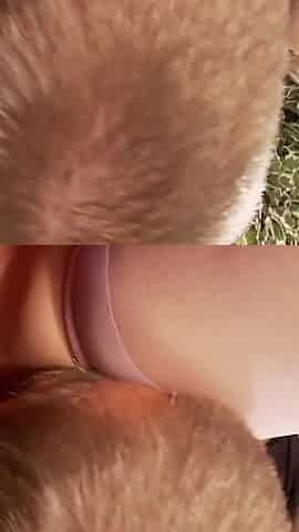 Cindy on doggy style feels the cock go deep