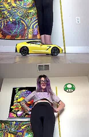 Smashing a Model Car with My Size 16 Feet