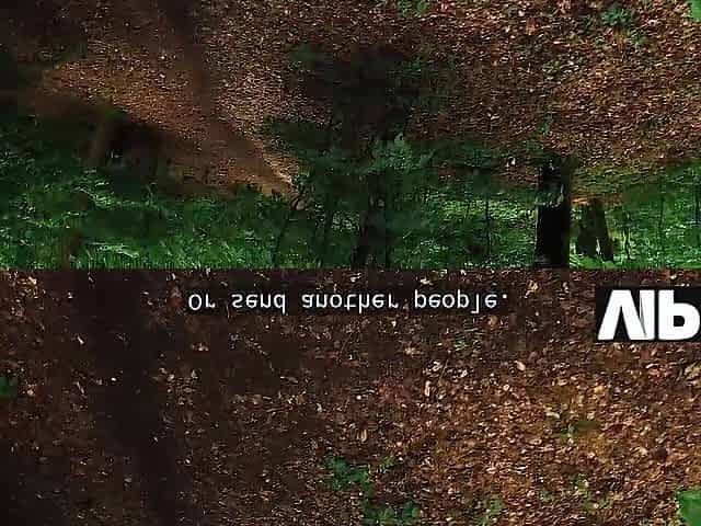 VIP4K. Met a nude stranger with sexy bazookas in the forest. Sexy sex with Emejota