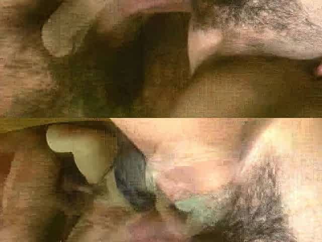 Amateur girlfriend hardcore