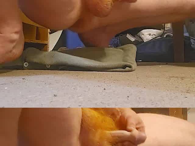Pissing on the floor afresh