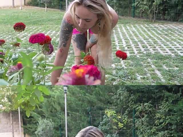 Pov: What Could Be More excellent than a 1st Person Oral-sex in a Flower Garden