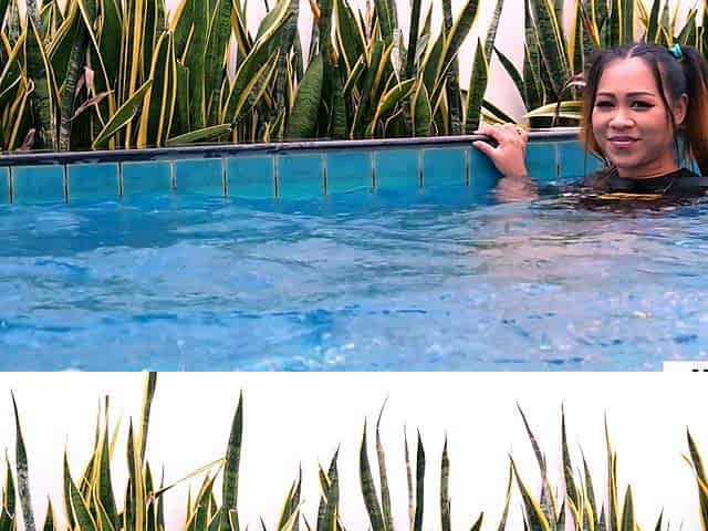 Farang fucked a Thai teens pussy and ass