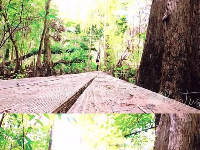 Peeing on a Bridge