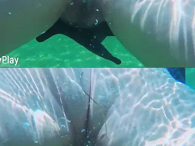 Stranger cum inside me on the beach. Creampie underwater