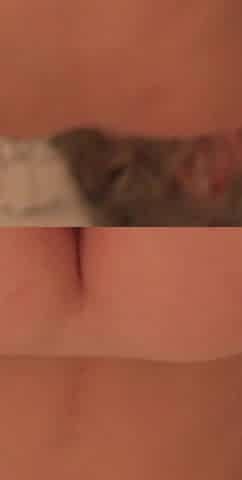 Ass Fetish Compilation Fingering Anal Buttplug and More
