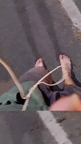 Liberal void urine beneath street lights dancing free