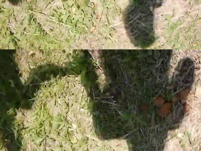 Lost In Nature - Got A In The Mouth!