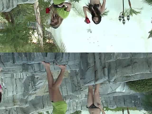 Wild lesbos don't mind eating cunt and butt all day!