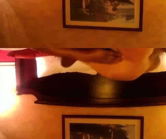 Hot Big Black Latina booty Black and Ebony