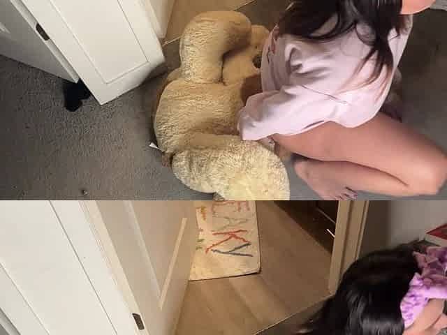 Fat hotty humps massive teddy bear