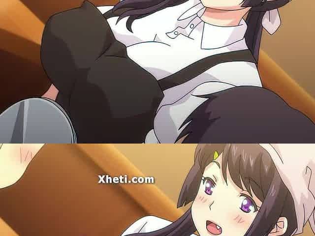 Hentai Manga, Animation porn