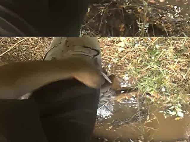 FREAKY AFRO MALE MASTURBATING IN THE WOODS