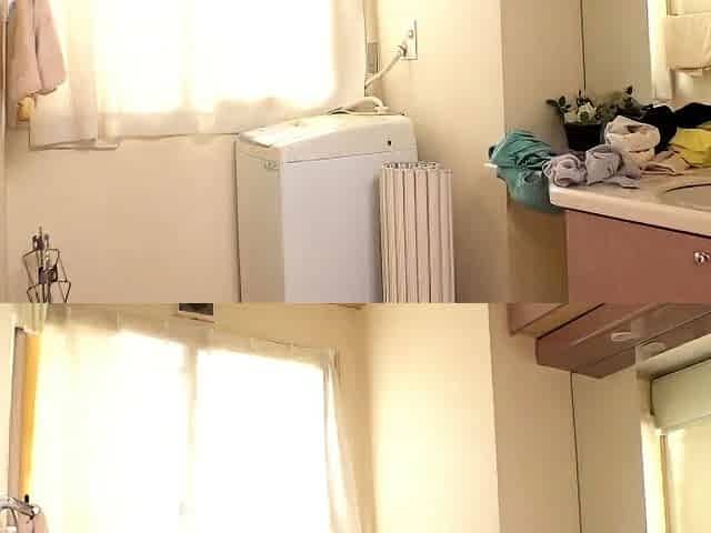Japanese blowjob and handjob