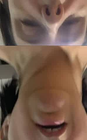 41 Seconds of Me Virtually Fucking You