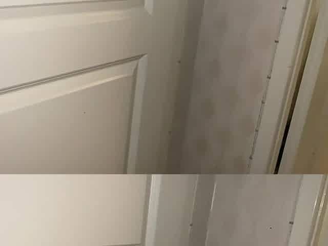 Caught my brothers wife masturbating with hard loud climax in the bath.