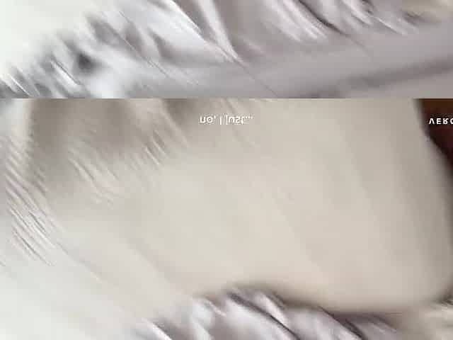 Underware try-on and bang with my beloved stepson - creampie