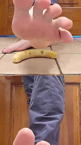 Imagine getting squashed like this by those large knob feet