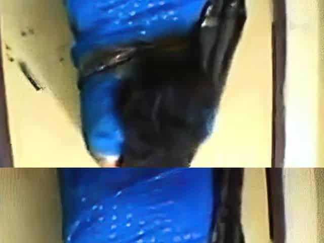 Big-Ass Indian Aunty in Blue Saree
