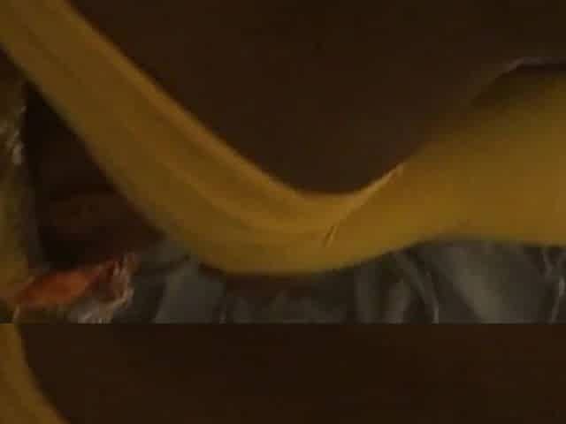 Black Boyfriend and girlfriend cunt creams all over bbc