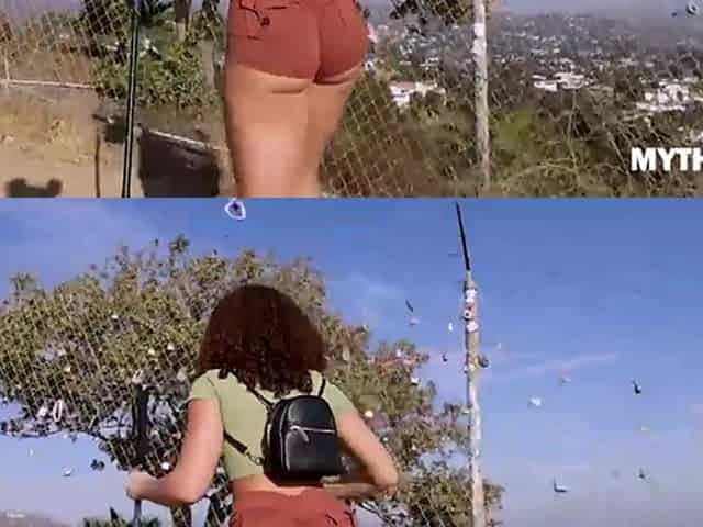 Thick bum hiking ebony picks up knob