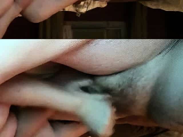 Ruined Orgasm for Him, Handjob by Big-Titted Amateur