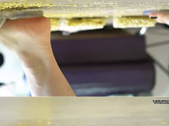 Sexy Feet Ramens Crushing in Clear Flip Flops Custom