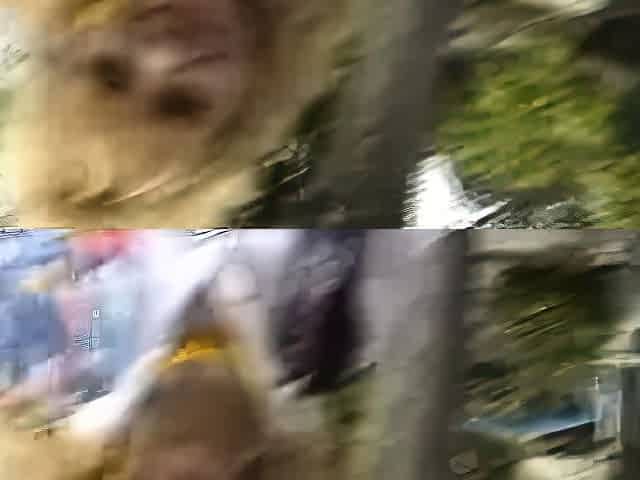 Sexy amateur blonde blowjob amp cumshot HD