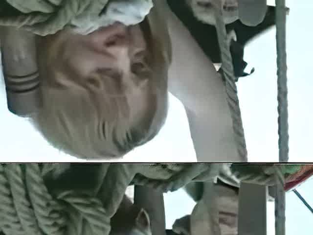 Whipping Compil 6