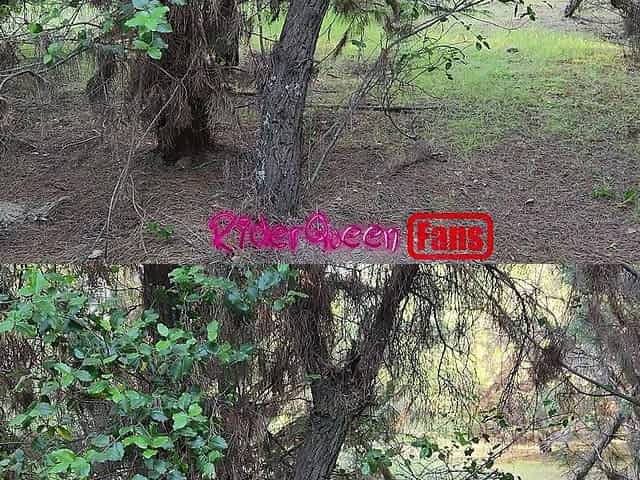 Riderqueen Alone, Outdoors, Fan Videos
