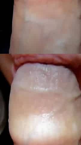 Lick the Foreskin