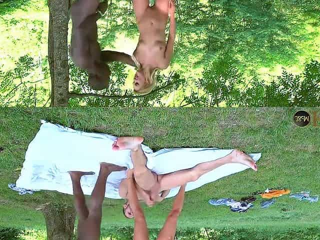 Elite - Vacation Dp
