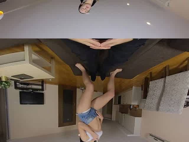 Natasha Shows Her Big Pussy in Professional Lapdance Vr180