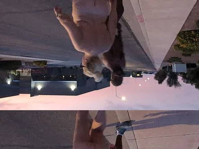 Thick BBW Wife Loves to Show off and Be Nude in Public!