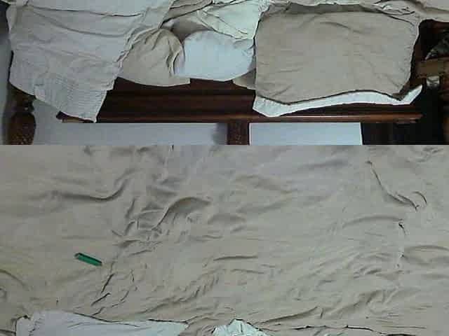 Cute amateur teen blowjob on sex dating webcam