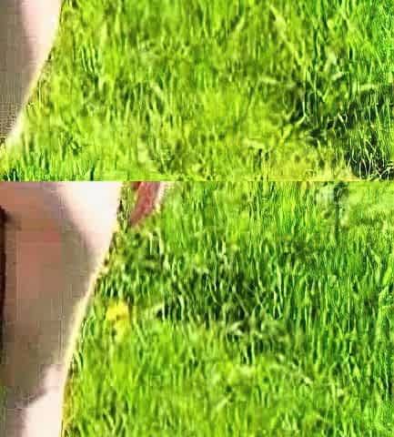 Amateur French Teen Outdoor softcore