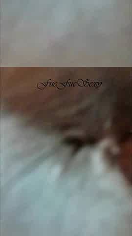 Eating My Maid and I Filmed Very Close