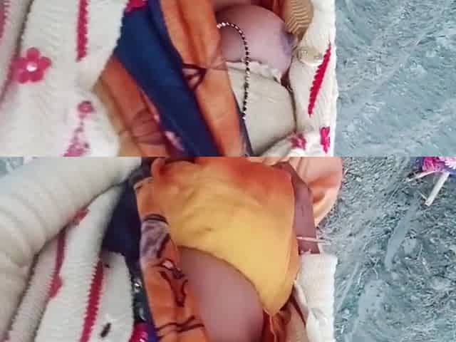 Desi Bhabhi Fuck in Sugarcane Field