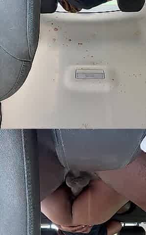 Car sex broad daylight